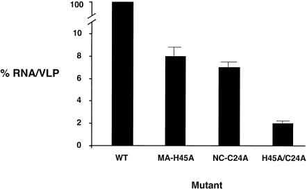 FIG. 4.