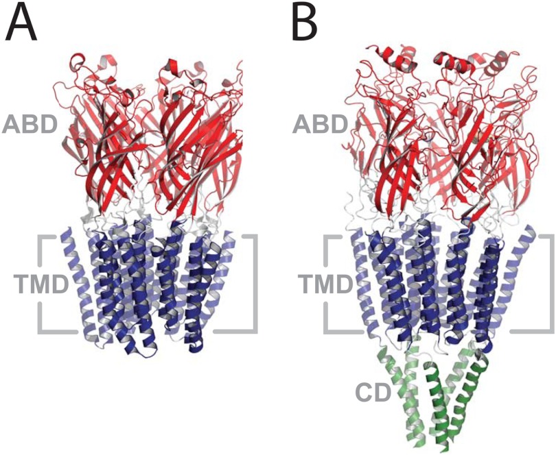 FIGURE 1.