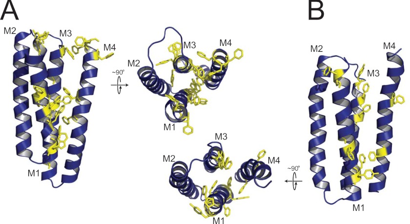 FIGURE 6.