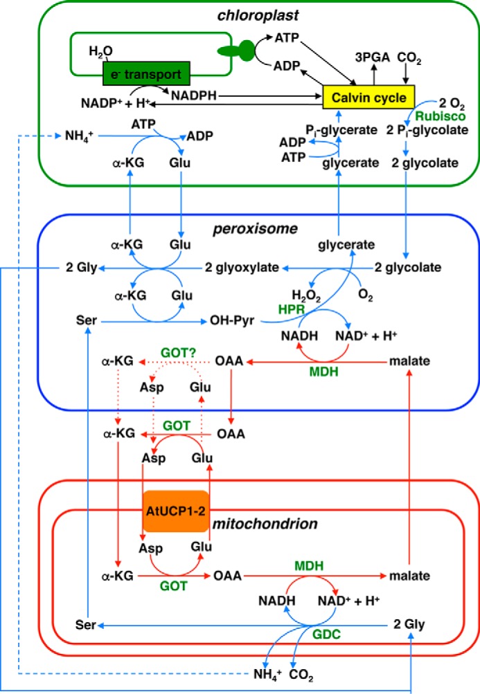 Figure 10.