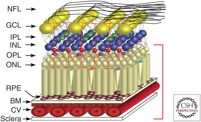 Figure 1.