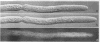 370