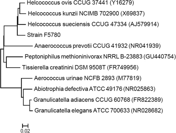 FIG 2