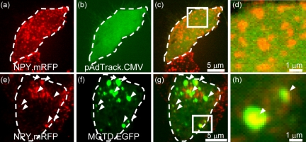 Figure 3.