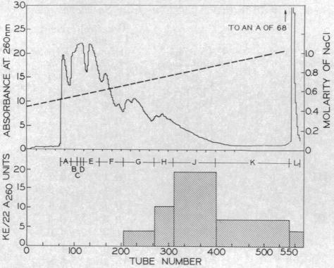 graphic file with name pnas00108-0277-a.jpg