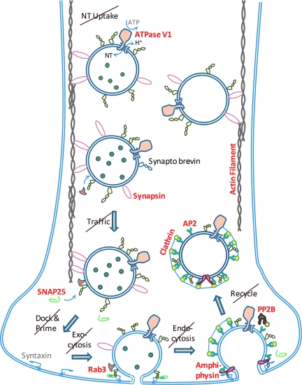 FIG. 6.