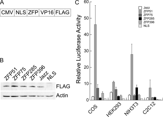 FIGURE 2.