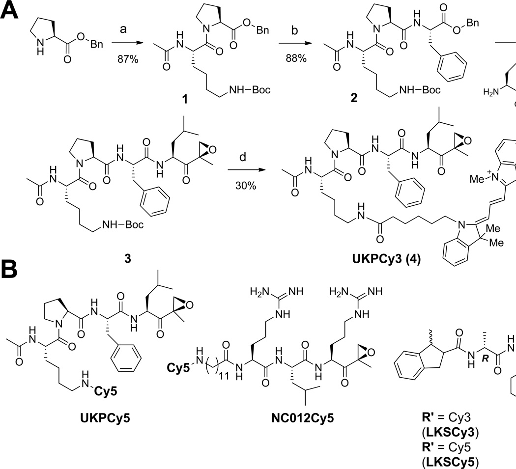 Fig. 3