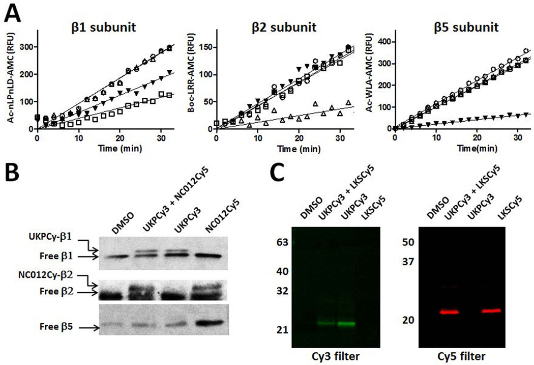 Fig. 4