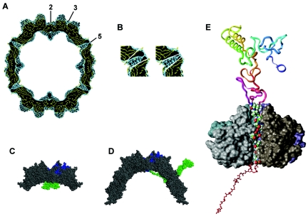 FIG. 6.