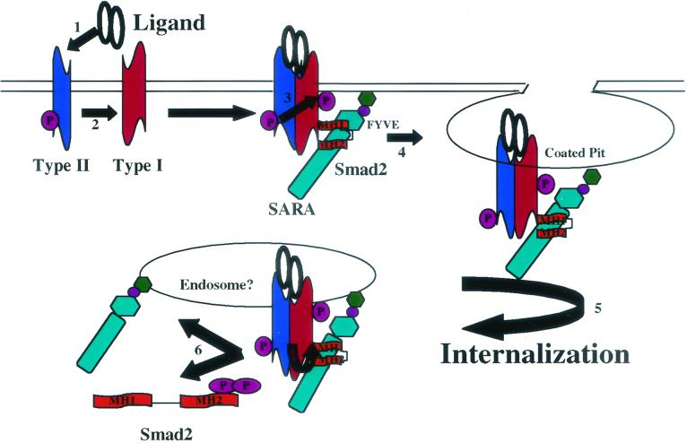 FIG. 7.