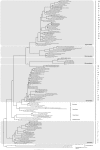 Fig 5