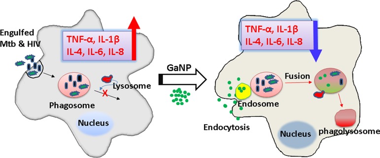 FIG 5