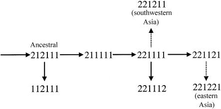 Figure  3