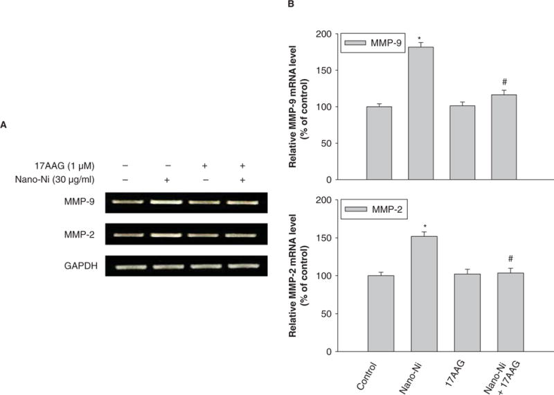 Figure 11