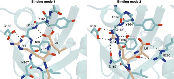 Figure 6.