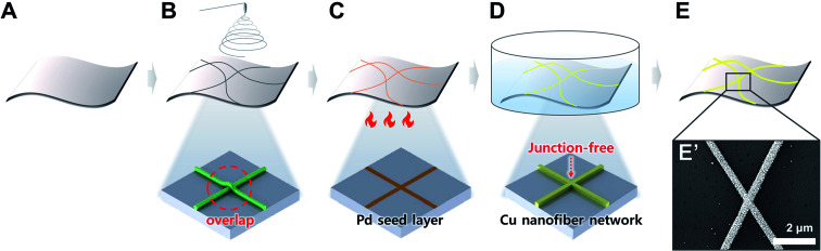 Fig. 1