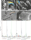 Figure 2.