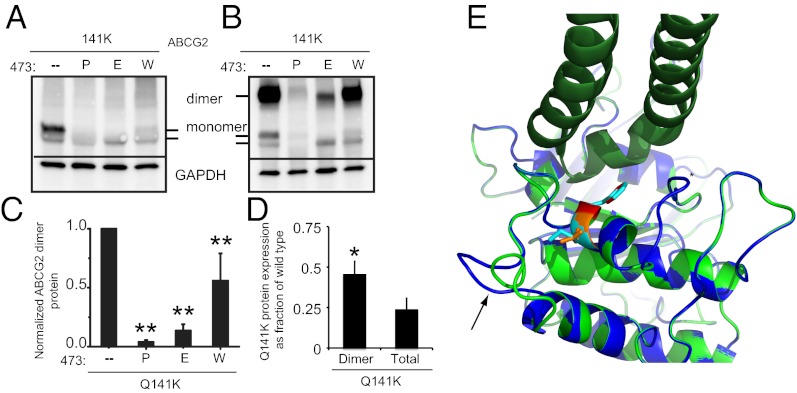 Fig. 4.