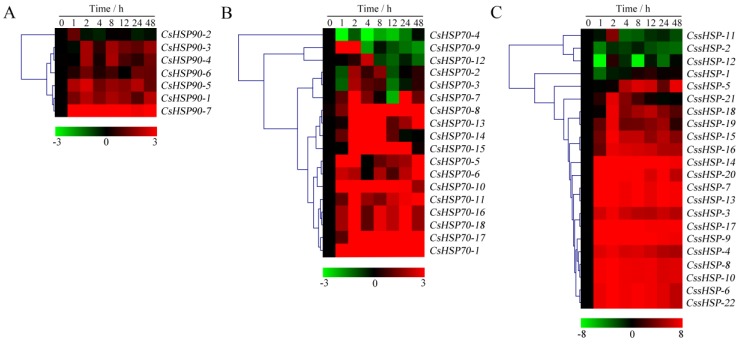 Figure 7