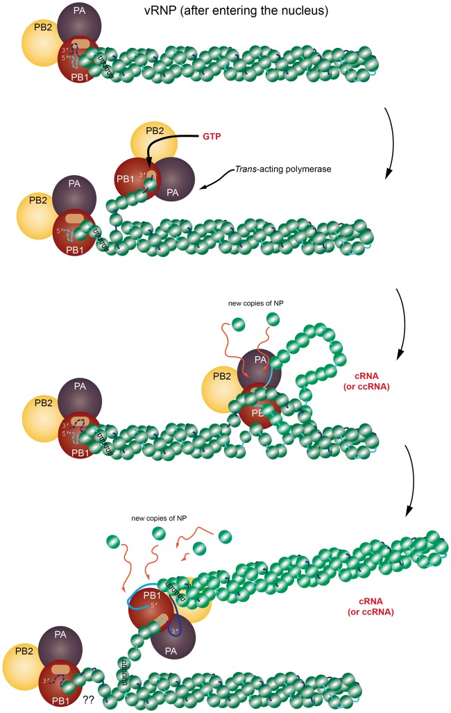 Figure 2.