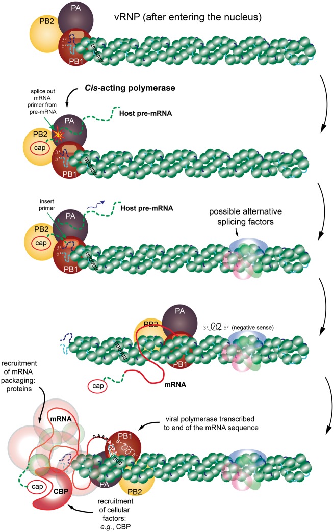 Figure 1.