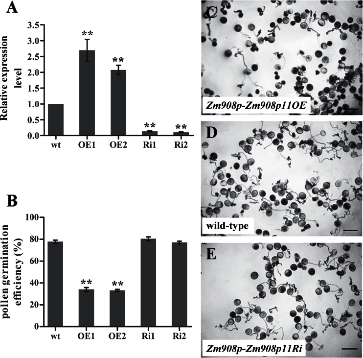 Fig. 6.