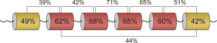 Fig 6