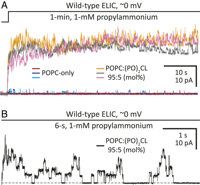 Fig. 4.