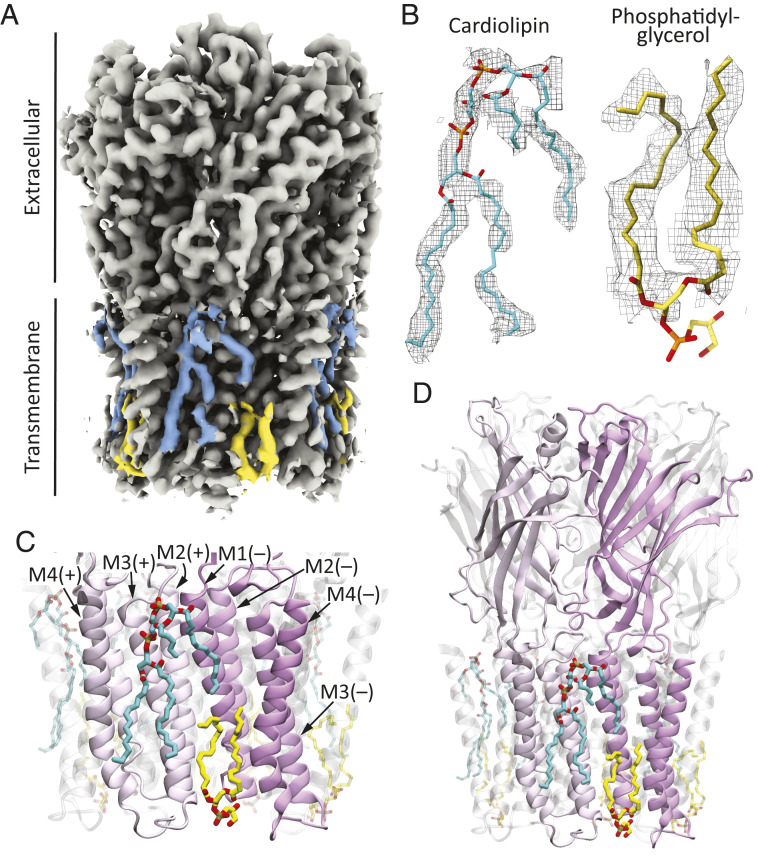 Fig. 3.