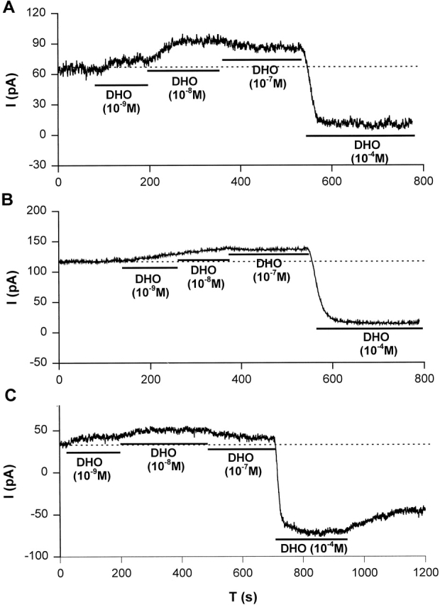 Figure 9. 