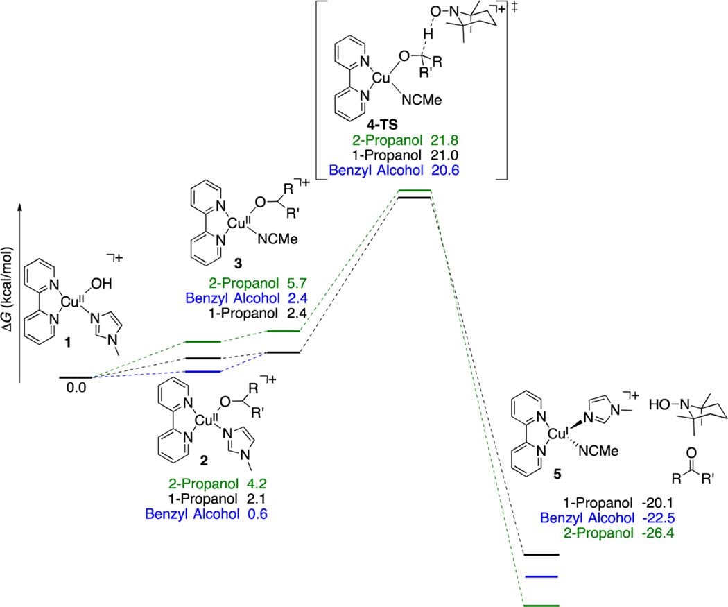 Scheme 5