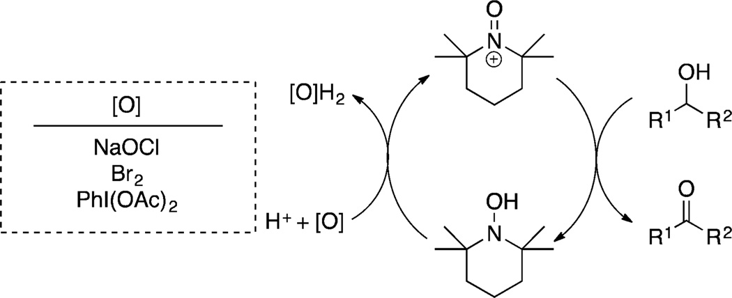 Scheme 2