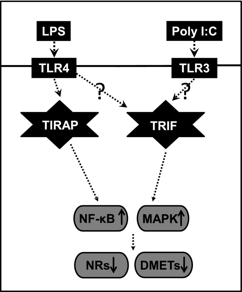 Scheme 1.