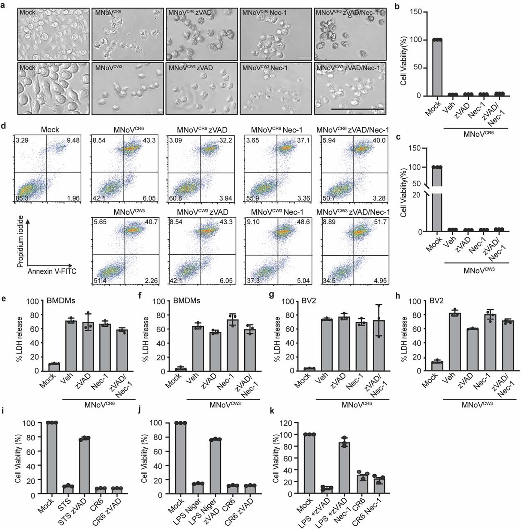 Extended Data Figure 2: