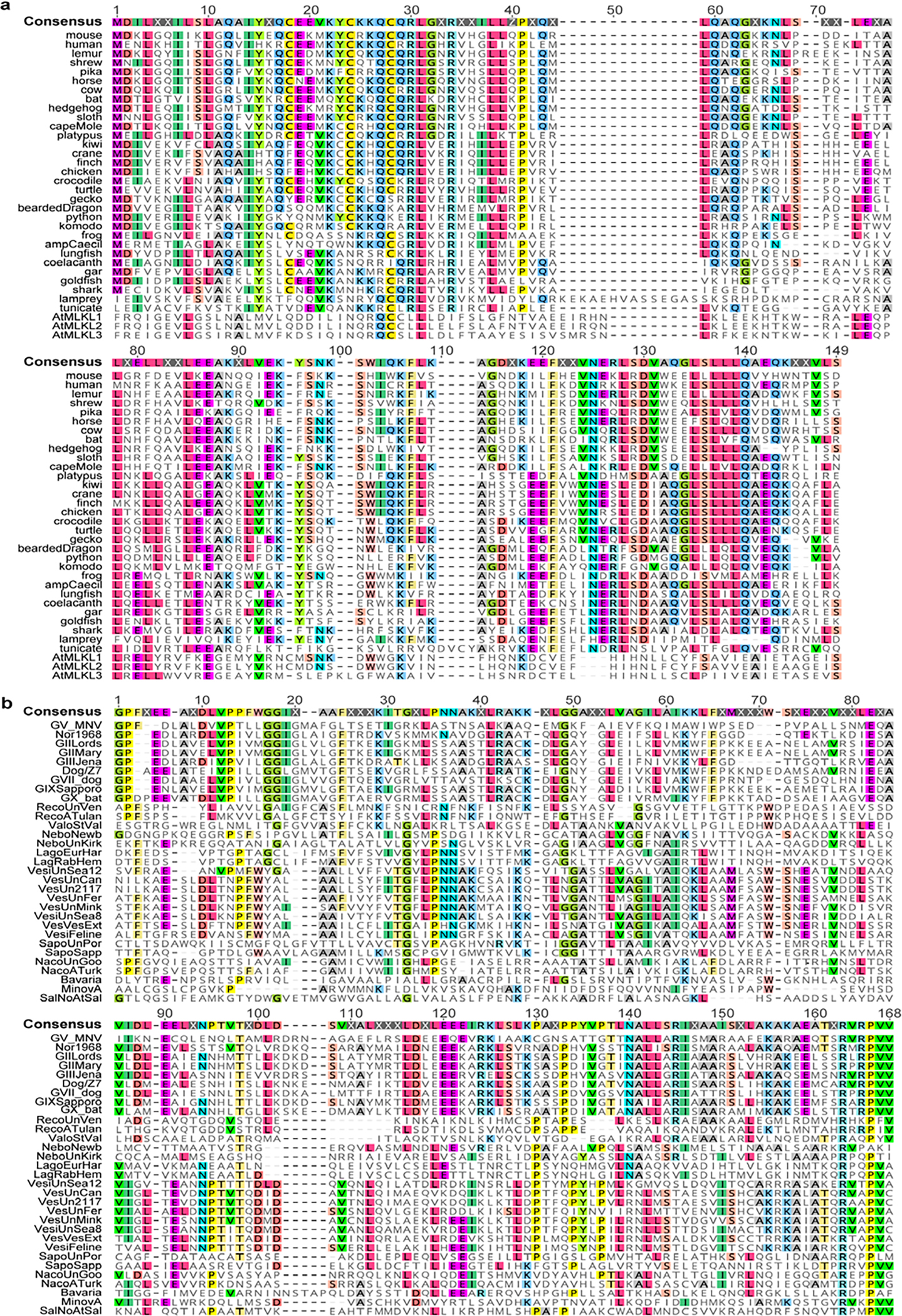 Extended Data Figure 7: