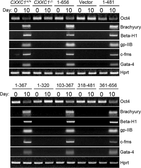 FIG. 6.