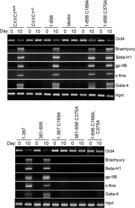 FIG. 13.