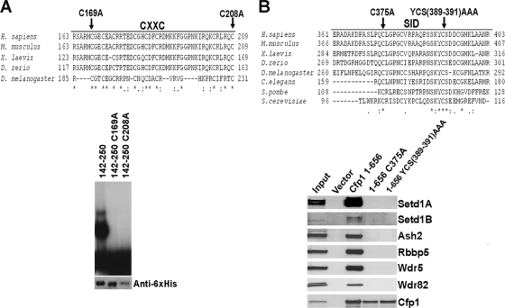 FIG. 7.