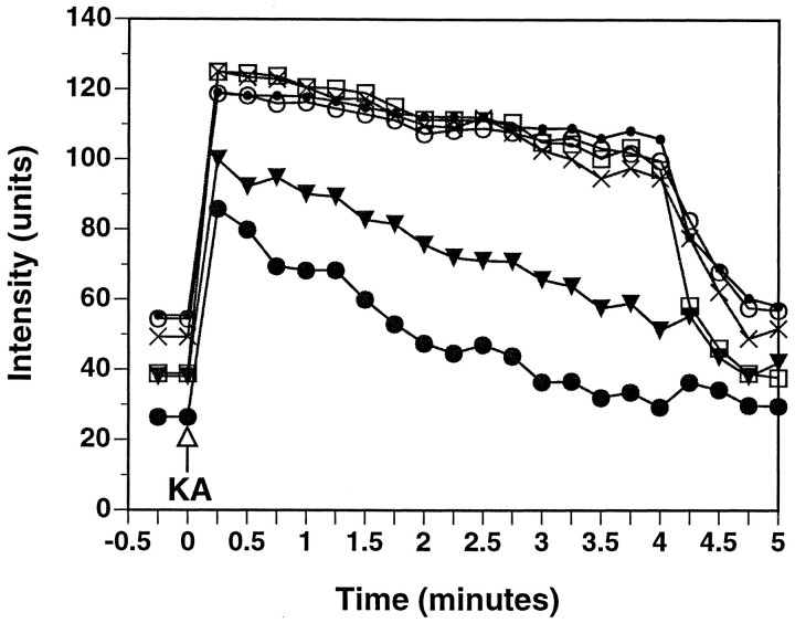 Fig. 10.