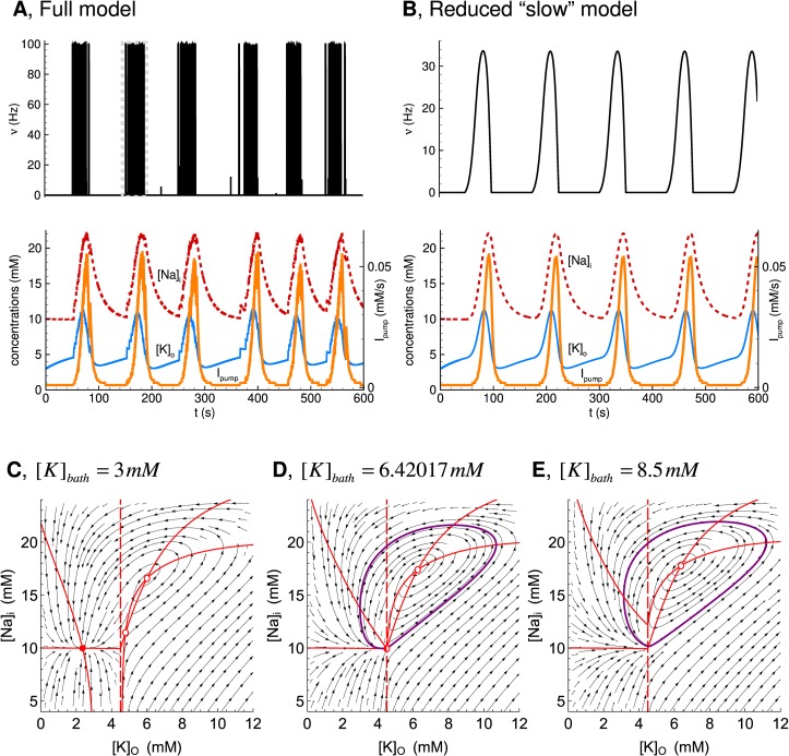 Fig 10