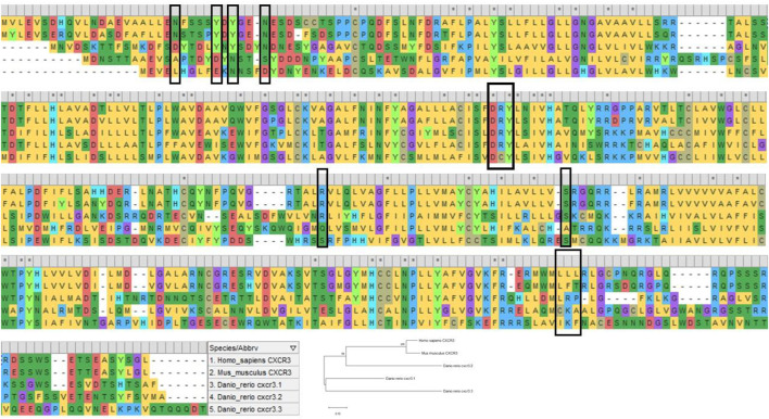 FIGURE 4