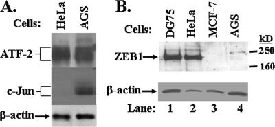 FIG. 6.