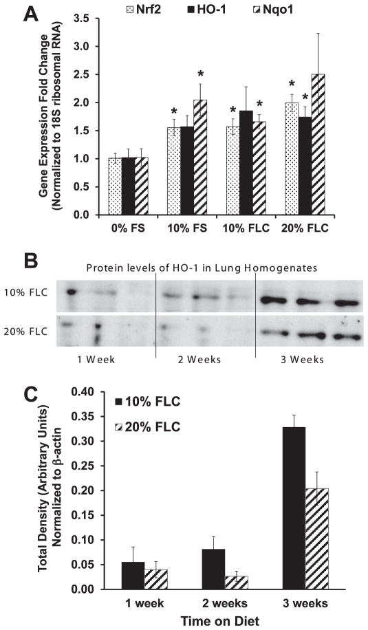 FIG. 7