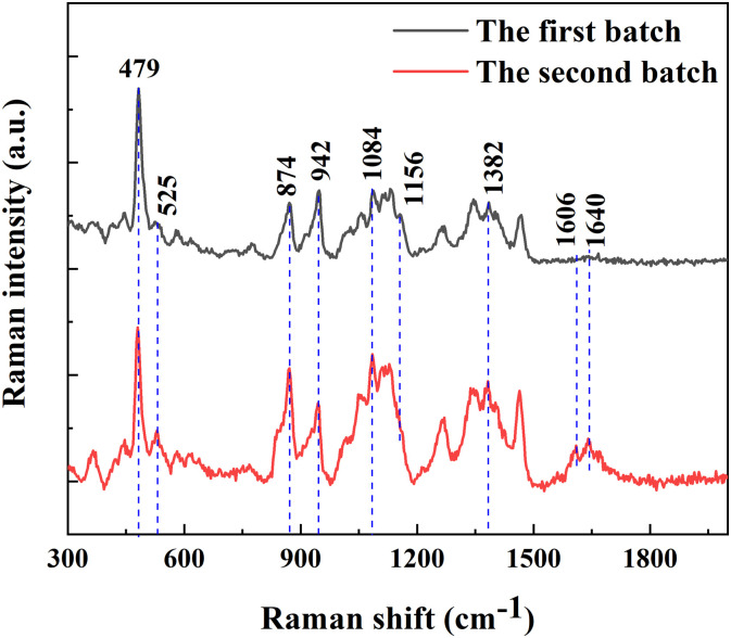 Fig. 6