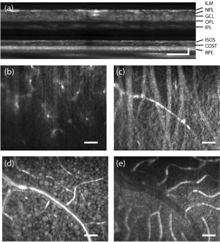 Fig. 7.