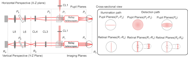 Fig. 2.