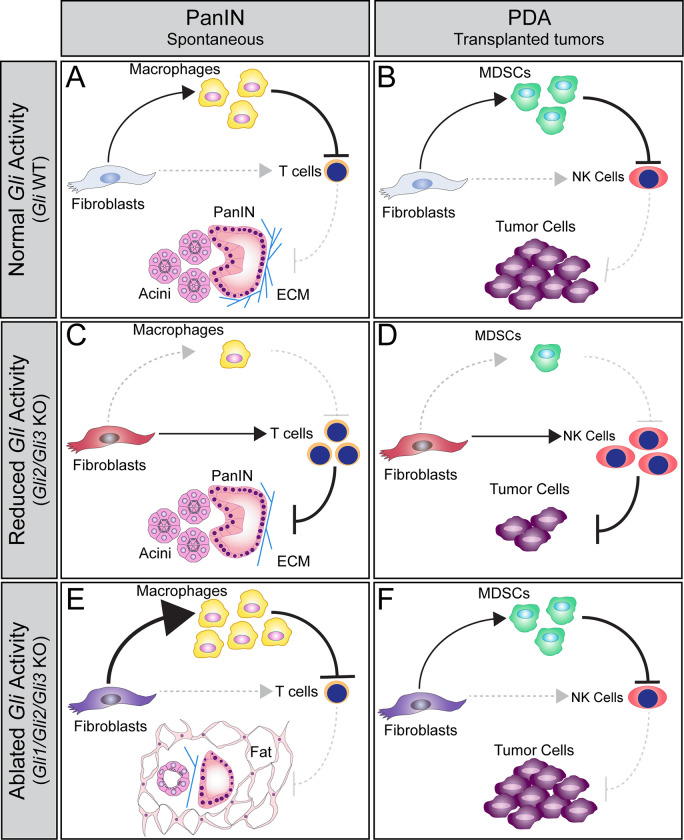 Fig 7