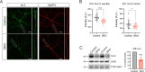 Figure 2—figure supplement 2.