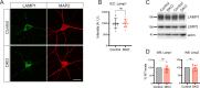 Figure 2—figure supplement 3.